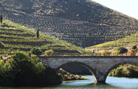 Valle-del-Douro