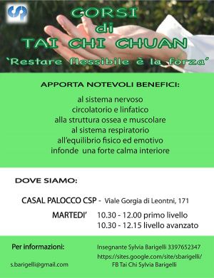 Tai Chi 2024-2025